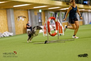 1T0A0862-2_DxO