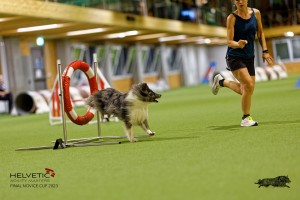 1T0A0868-2_DxO