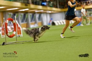 1T0A0870-2_DxO