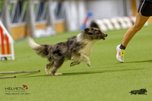 1T0A0871-2_DxO