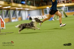 1T0A0872-2_DxO