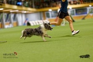 1T0A0873-2_DxO