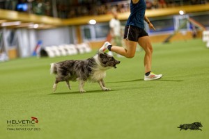 1T0A0874-2_DxO