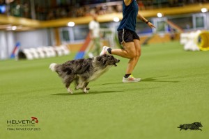 1T0A0875-2_DxO