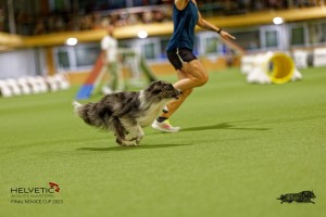 1T0A0876-2_DxO