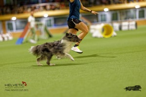 1T0A0877-2_DxO