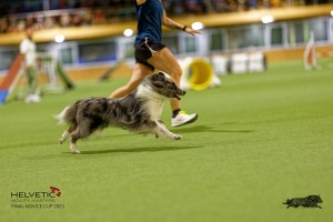 1T0A0878-2_DxO