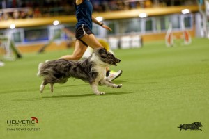 1T0A0879-2_DxO