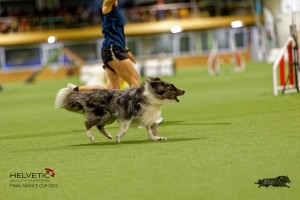 1T0A0880-2_DxO