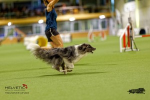 1T0A0881-2_DxO