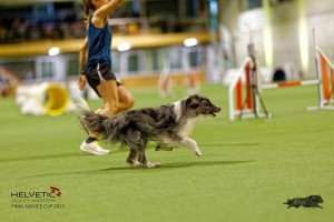 1T0A0882-2_DxO