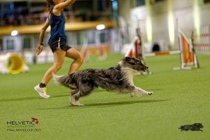 1T0A0883-2_DxO
