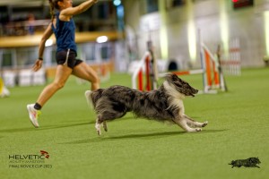 1T0A0884-2_DxO