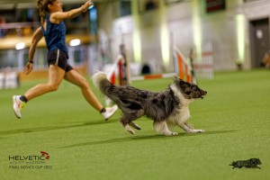 1T0A0885-2_DxO