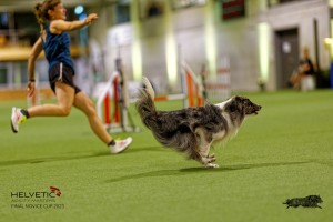 1T0A0886-2_DxO