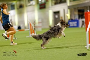 1T0A0888-2_DxO