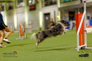 1T0A0889-2_DxO