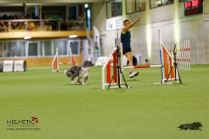 1T0A0966-2_DxO