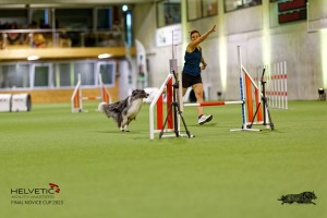 1T0A0967-2_DxO