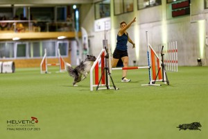 1T0A0968-2_DxO