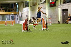 1T0A0972-2_DxO