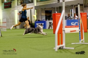 1T0A0986-2_DxO