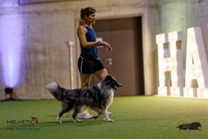 1T0A1020-2_DxO
