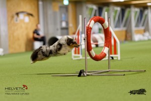 1T0A1050-2_DxO