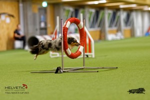 1T0A1052-2_DxO