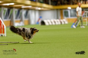 1T0A1058-2_DxO