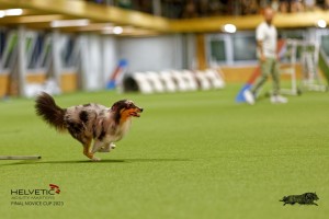 1T0A1059-2_DxO