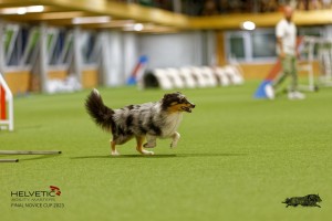 1T0A1060-2_DxO