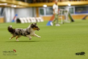1T0A1061-2_DxO