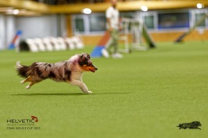 1T0A1062-2_DxO