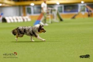1T0A1063-2_DxO