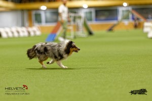 1T0A1064-2_DxO