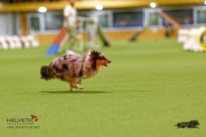 1T0A1065-2_DxO