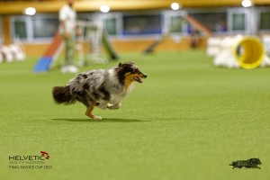 1T0A1066-2_DxO