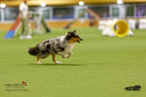 1T0A1067-2_DxO