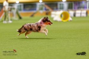 1T0A1068-2_DxO