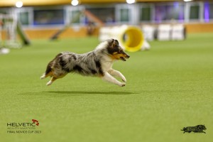 1T0A1069-2_DxO