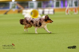 1T0A1071-2_DxO