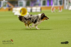 1T0A1072-2_DxO