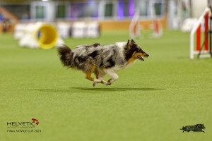 1T0A1073-2_DxO
