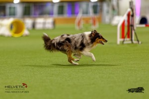 1T0A1074-2_DxO