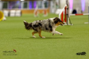 1T0A1075-2_DxO