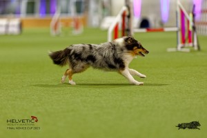 1T0A1076-2_DxO