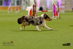 1T0A1077-2_DxO