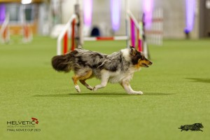 1T0A1078-2_DxO