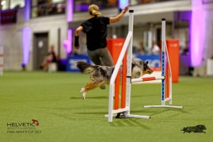 1T0A1087-2_DxO